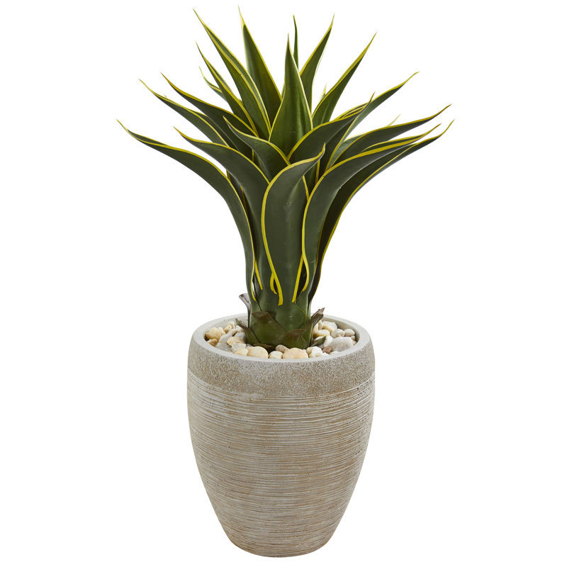 Wrought Studio Artificial Agave Plant in Pot Wayfair